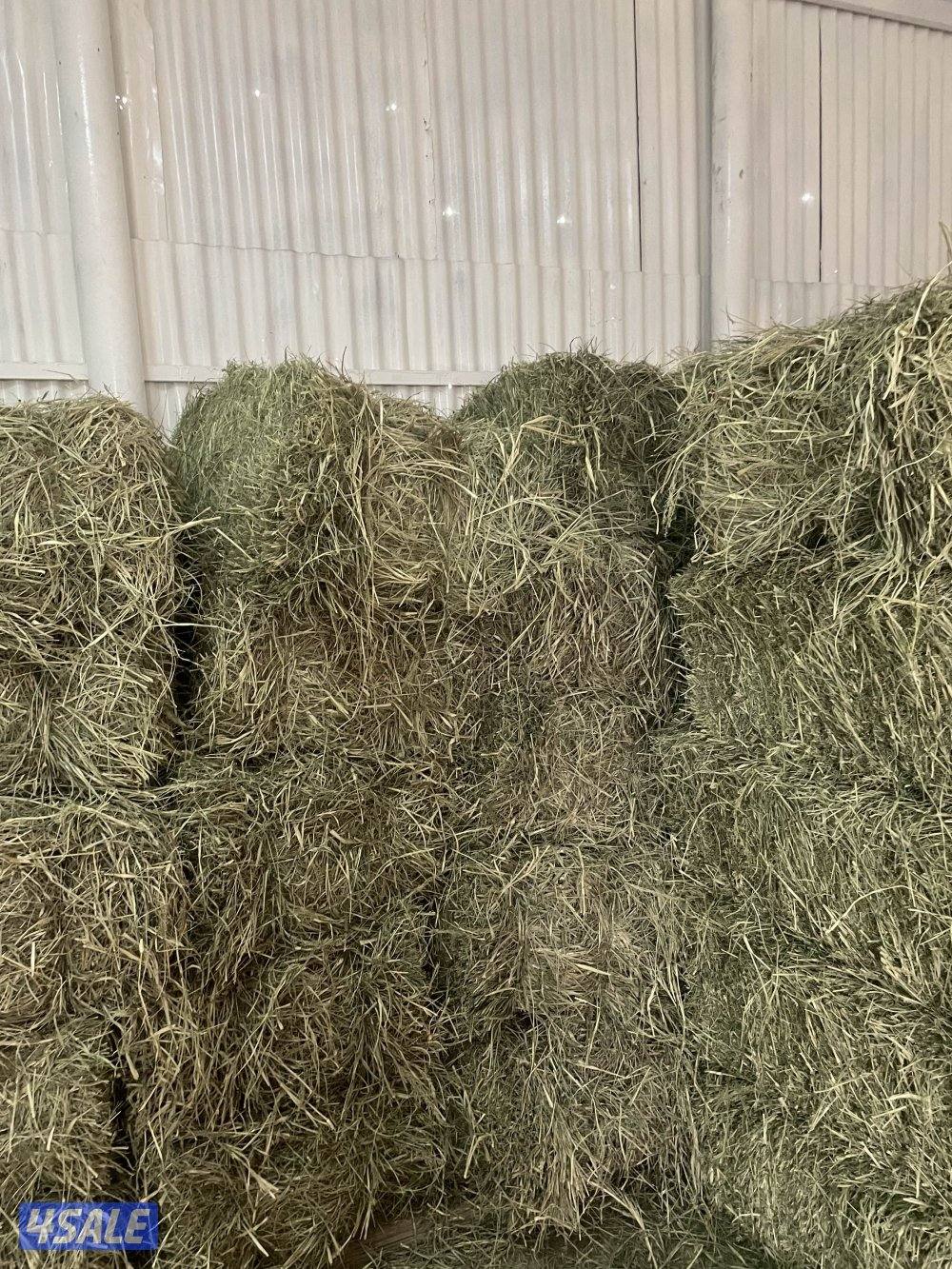 ربطات بلو بنك ناشف قياس 1.0 في 50 من 18 ال 20كم0