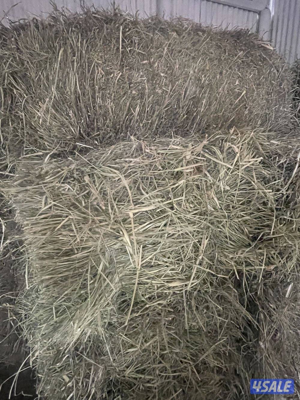 ربطات بلو بنك ناشف قياس 1.0 في 50 من 18 ال 20كم1