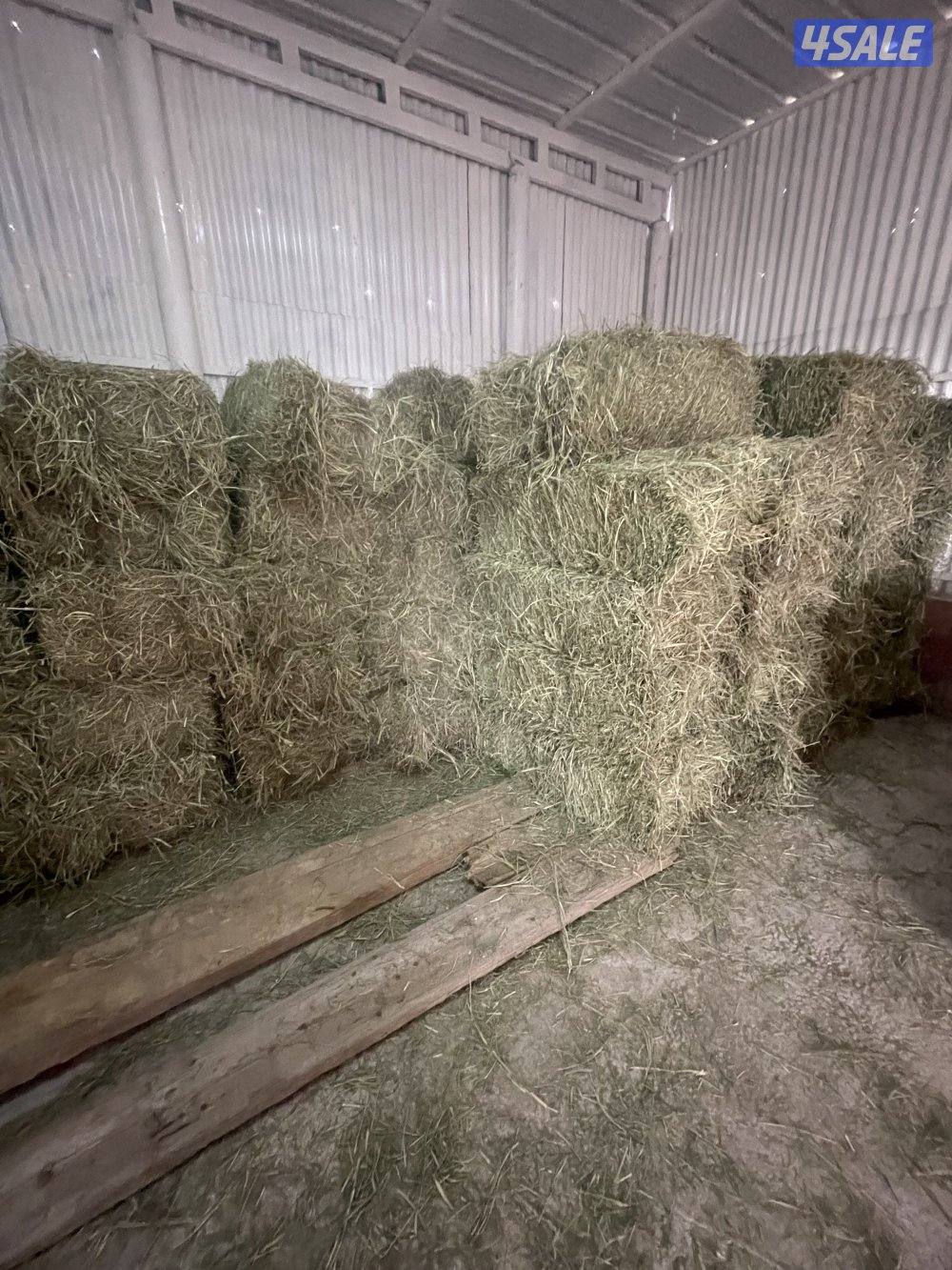 ربطات بلو بنك ناشف قياس 1.0 في 50 من 18 ال 20كم2