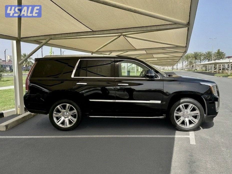 كاديلاك اسكاليد - الموديل:2017 - العداد:1817