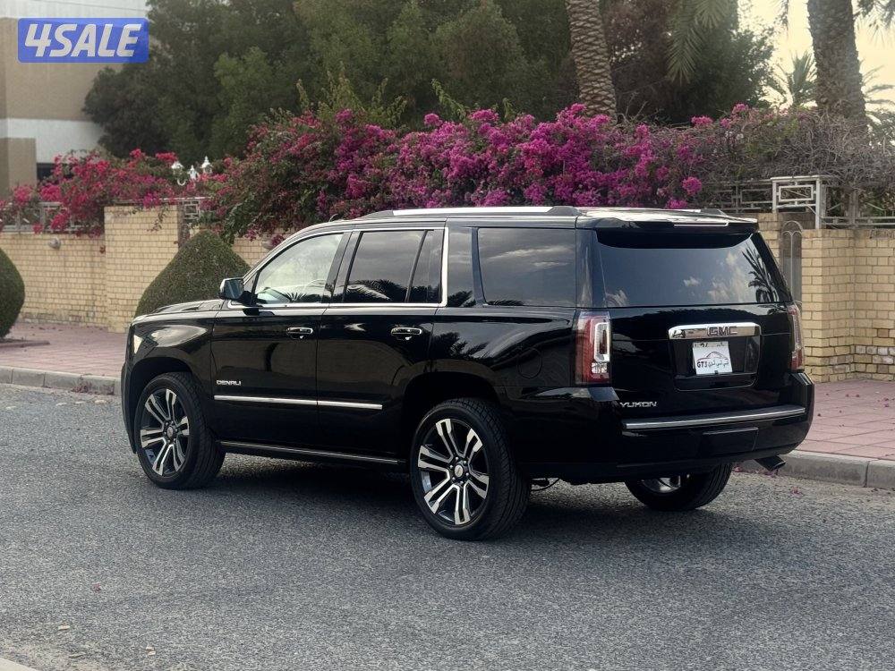 دينالي ٢٠١٨4