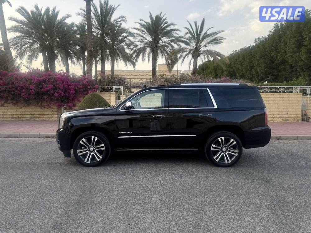 دينالي ٢٠١٨5