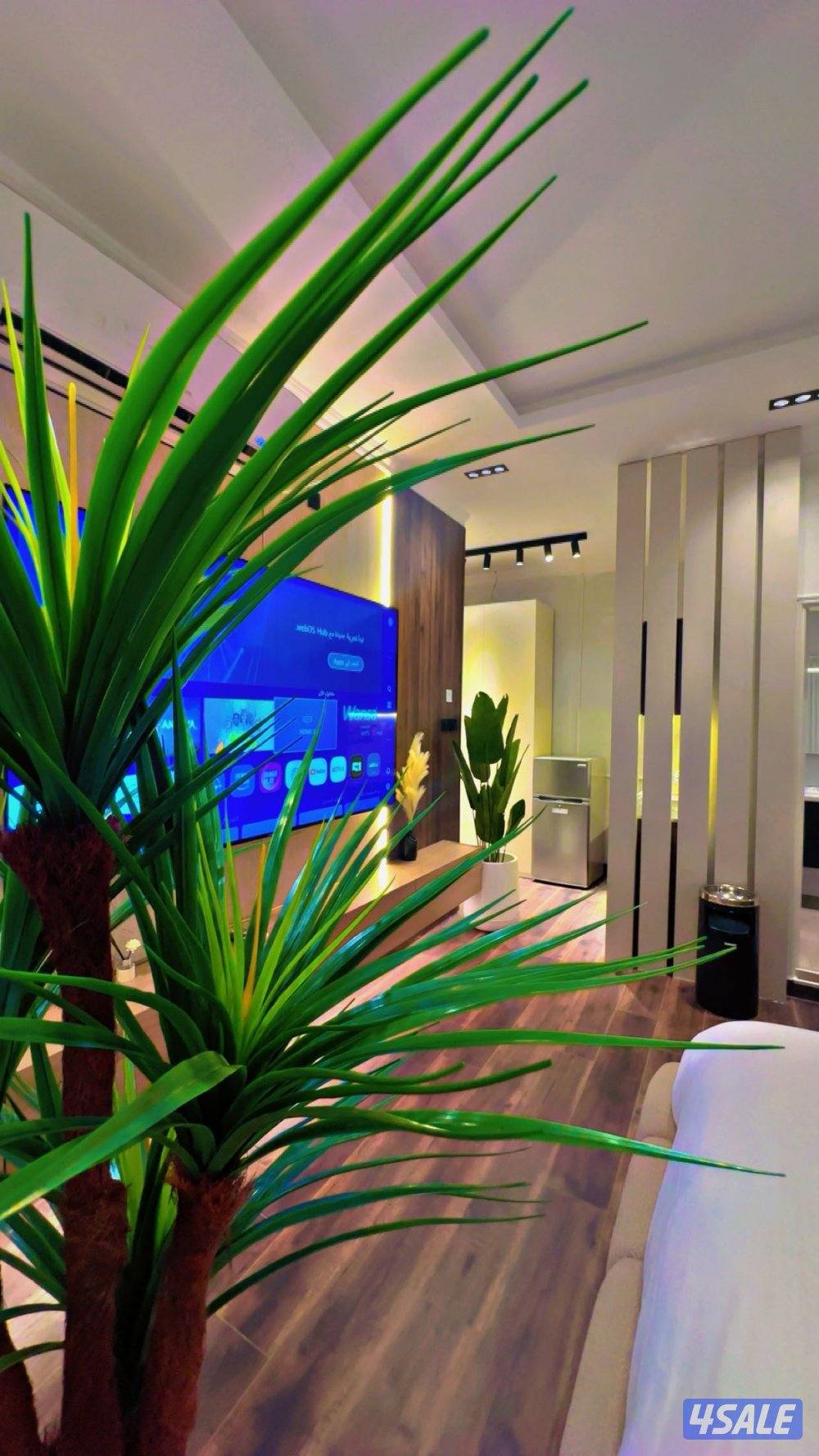 دخول ذاتي بوحليفةvip⭐️0