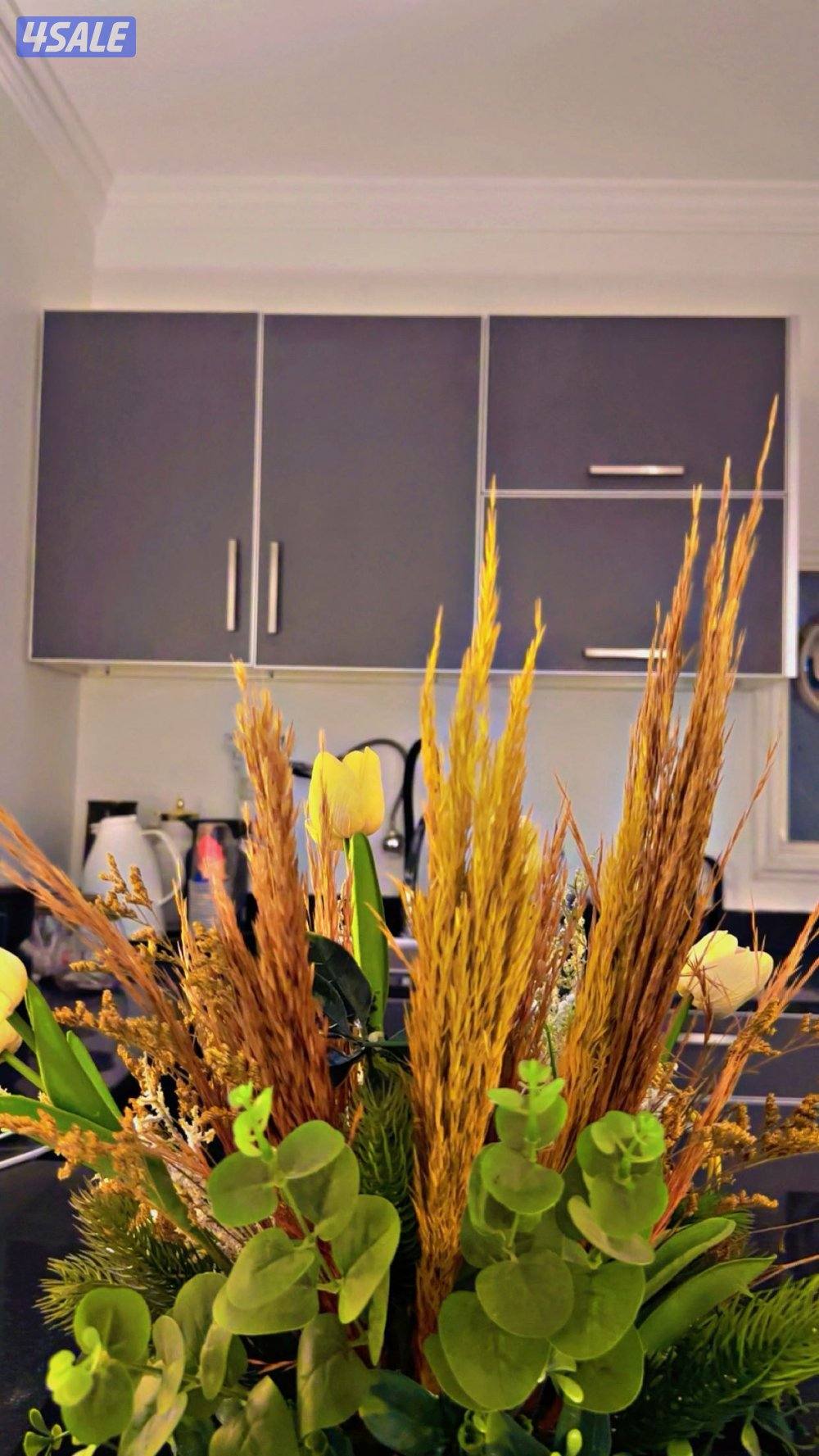 دخول ذاتي بوحليفةvip⭐️12