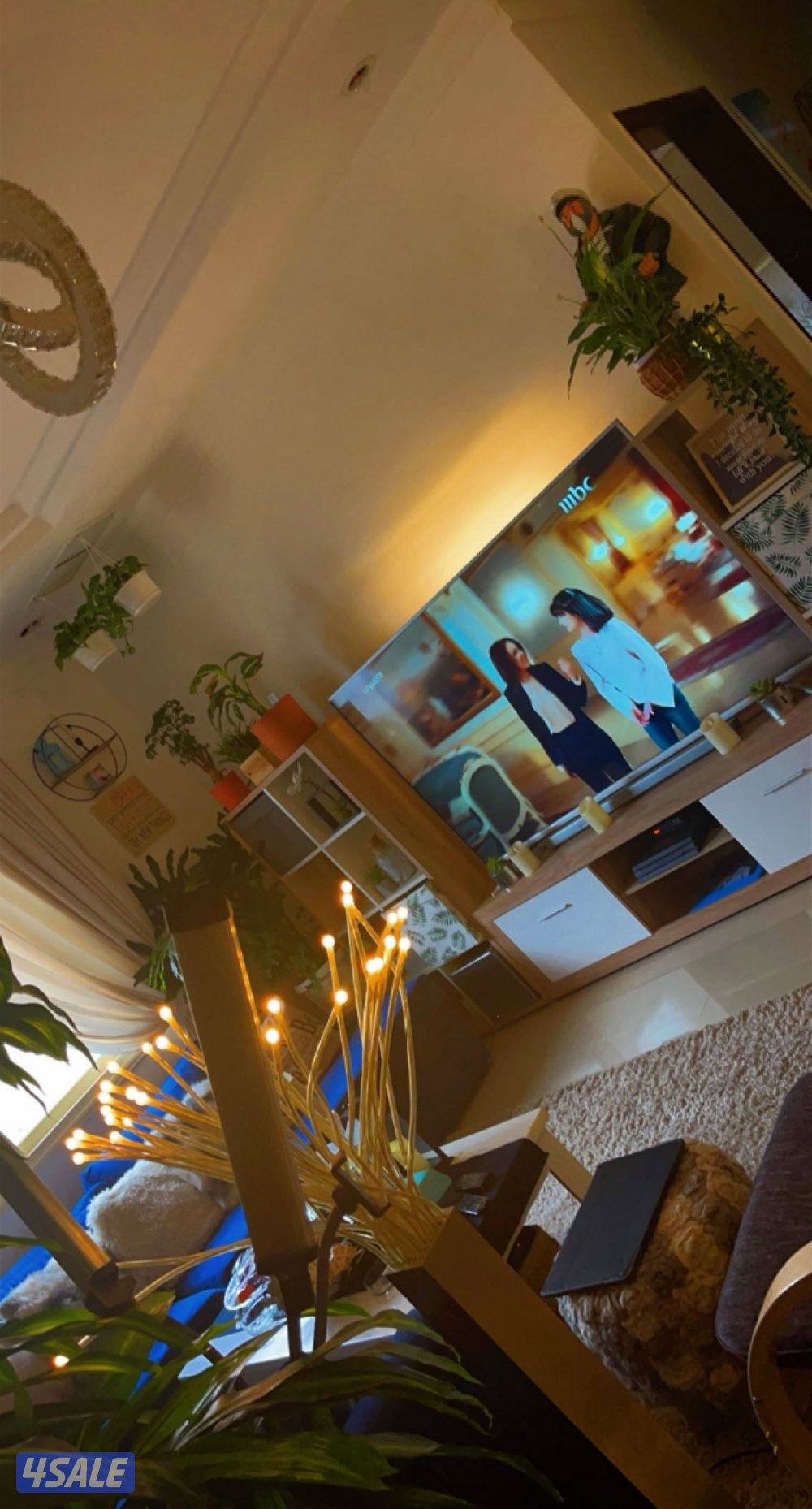 شقه 4 قرف الدو الأخير اطلاله0