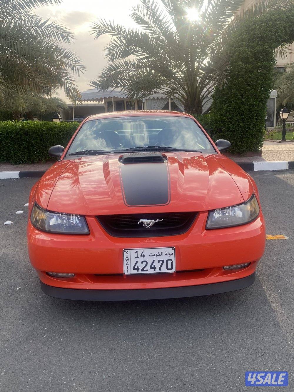 للبيع موستنق ماك ون1