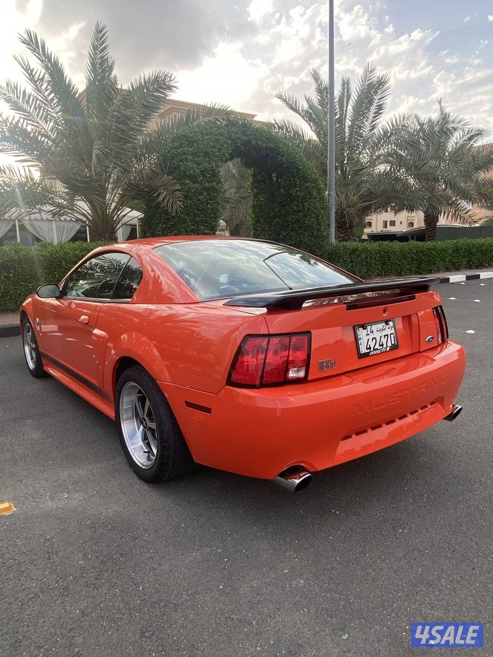 للبيع موستنق ماك ون6