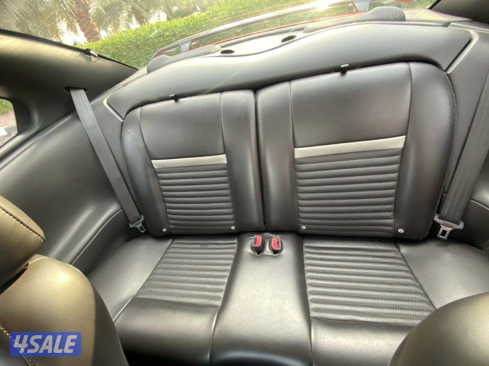 للبيع موستنق ماك ون11