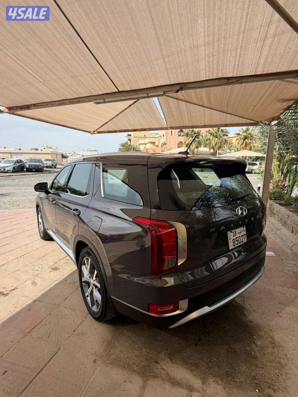 صبغ الوكاله9