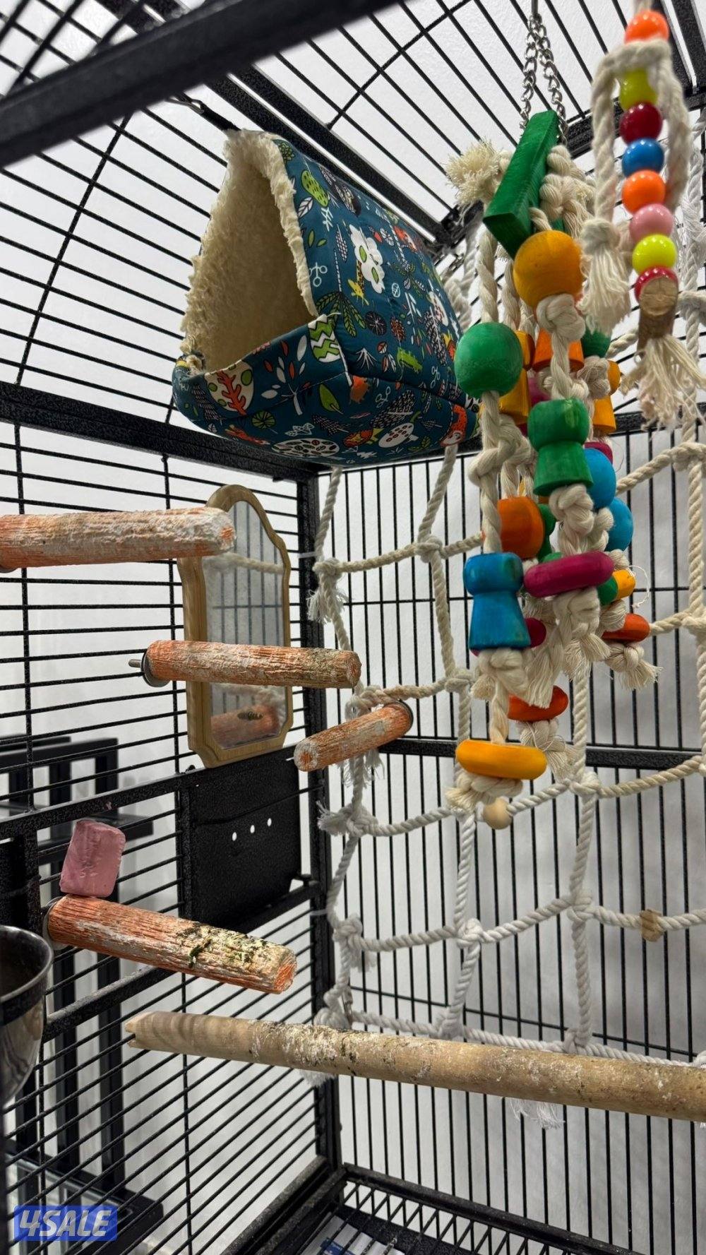 للبيع كنيور ربوه5