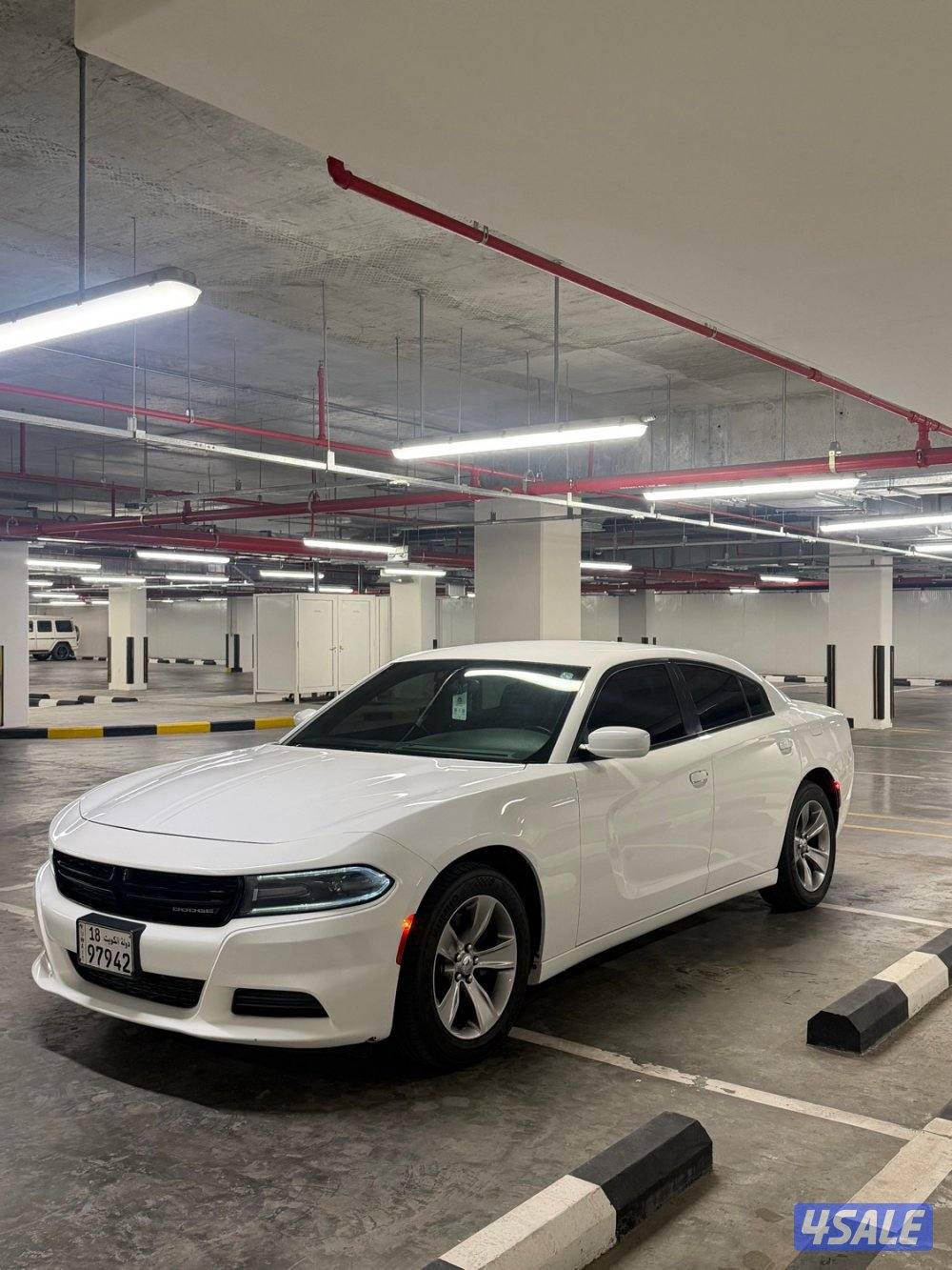 للبيع دوج صبغ الوكالة0