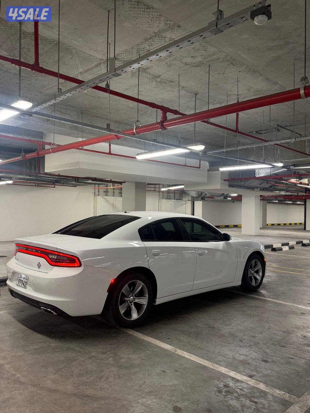 للبيع دوج صبغ الوكالة3