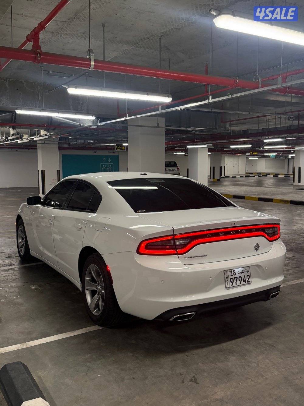 للبيع دوج صبغ الوكالة5