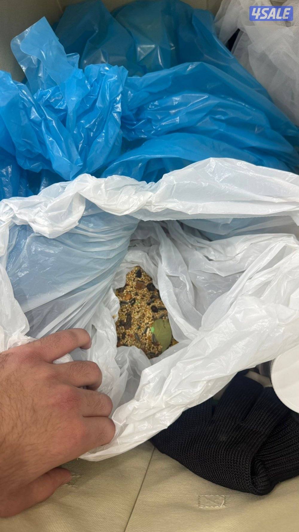 للبيع كنيور ربوه8