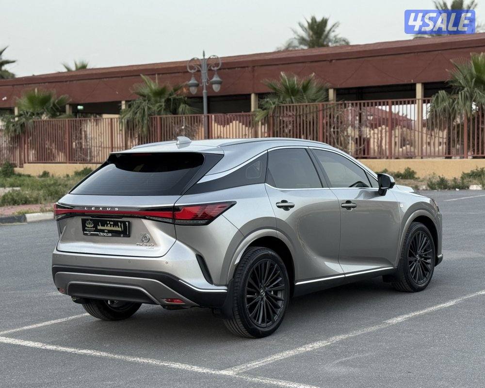 ماشي 12 صبغ الوكاله1