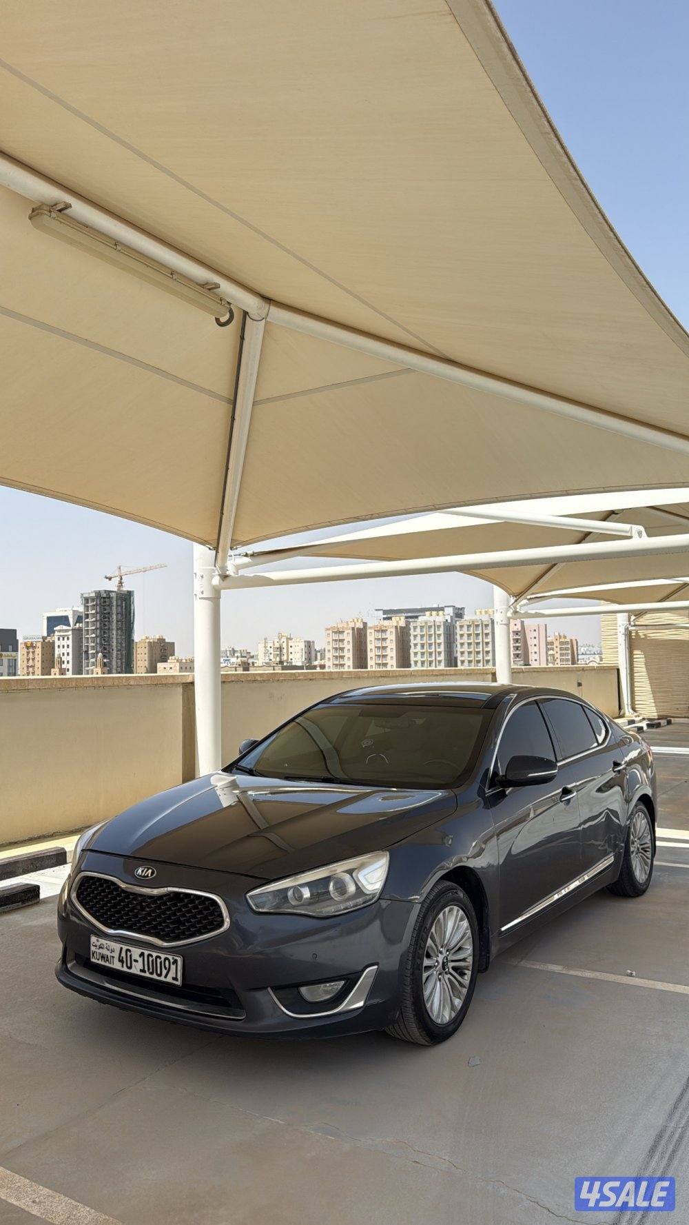 كادينزا 20161