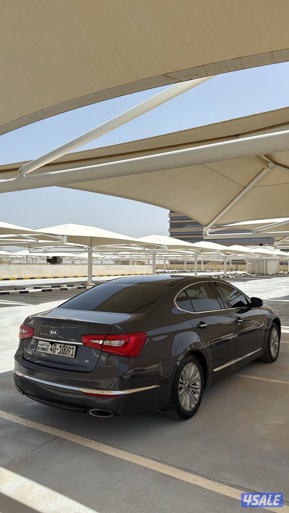 كادينزا 20163