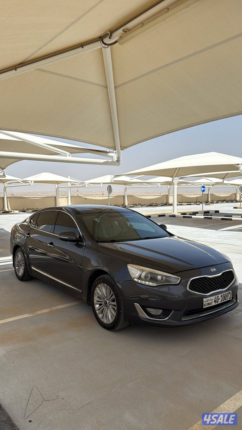 كادينزا 20164