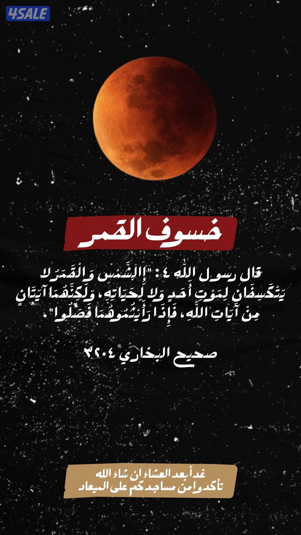 مصمم جرافيك ومحلل بيانات | تصاميم عصرية وإبداع بالذكاء الاصطناعي1