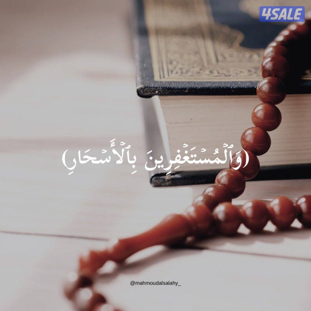 مصمم جرافيك ومحلل بيانات | تصاميم عصرية وإبداع بالذكاء الاصطناعي3