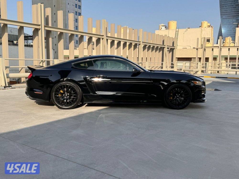 للبيع موستنق(مخزن) 5.0 بيرفورمنس قير عادي2