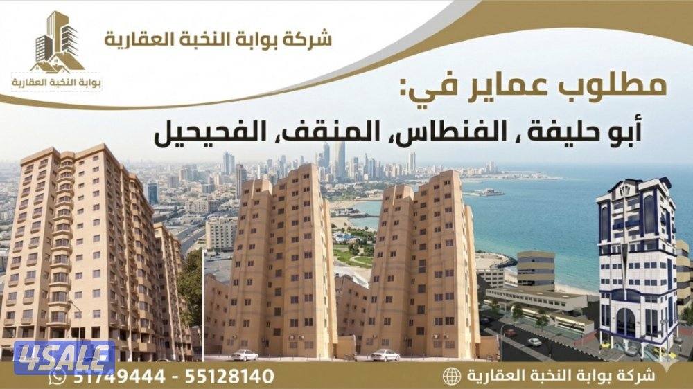 مطلوب عمارة0