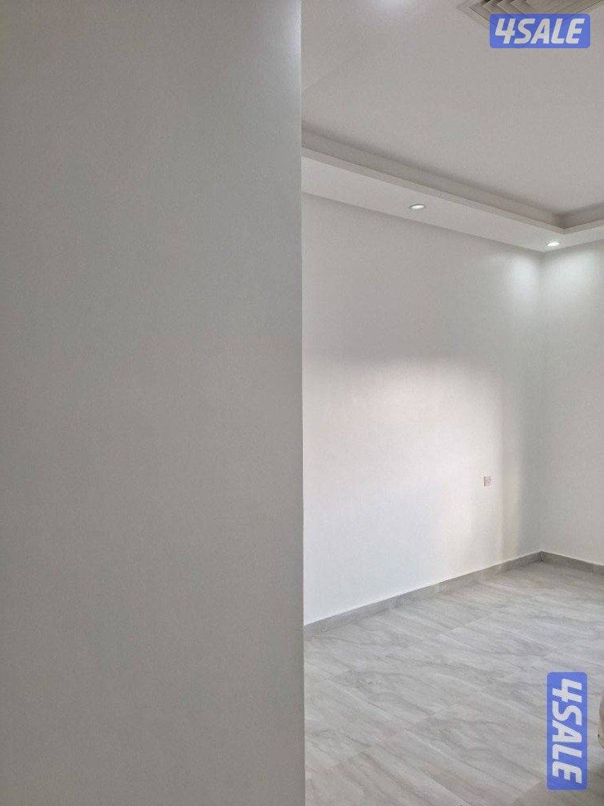 اصباغ ابو بشاير1