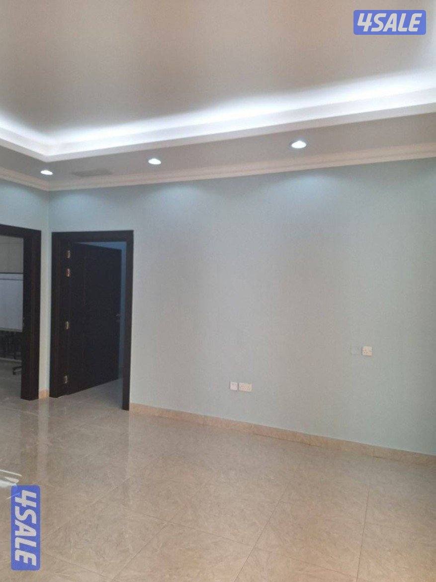 اصباغ ابو بشاير3