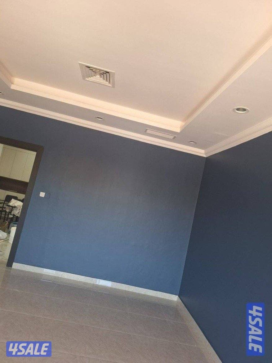 اصباغ ابو بشاير5