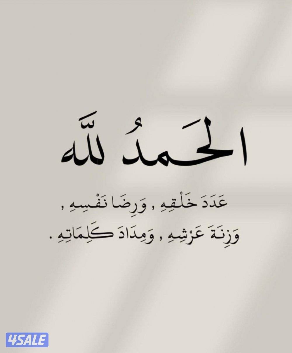 الوفره الجديده0