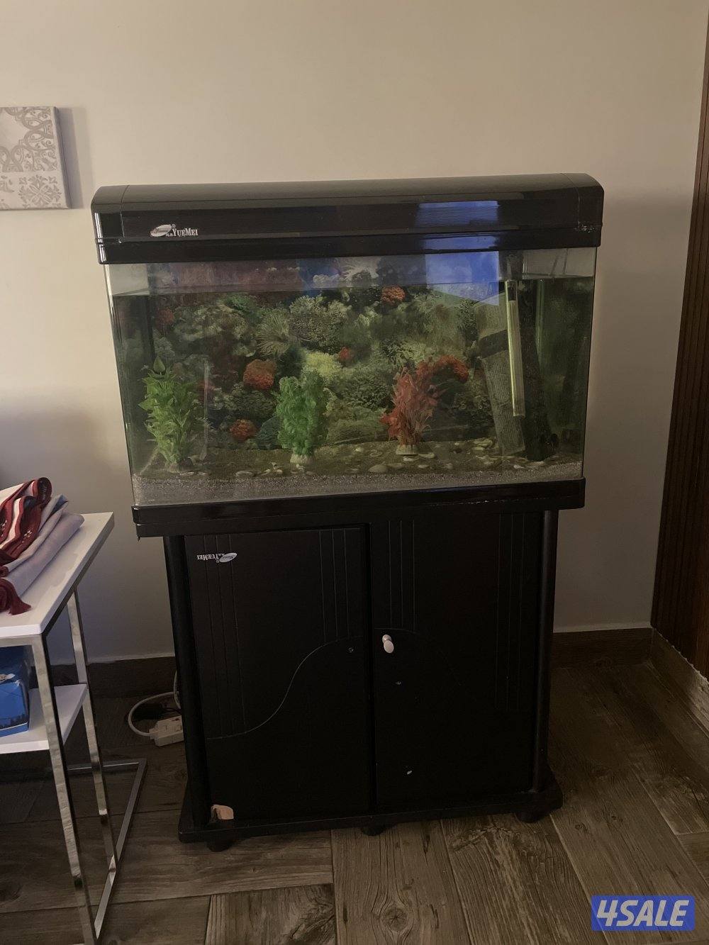 حوض سمك كامل مع المعدات0