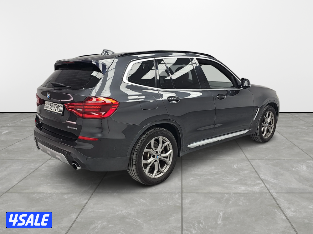 BMW X31