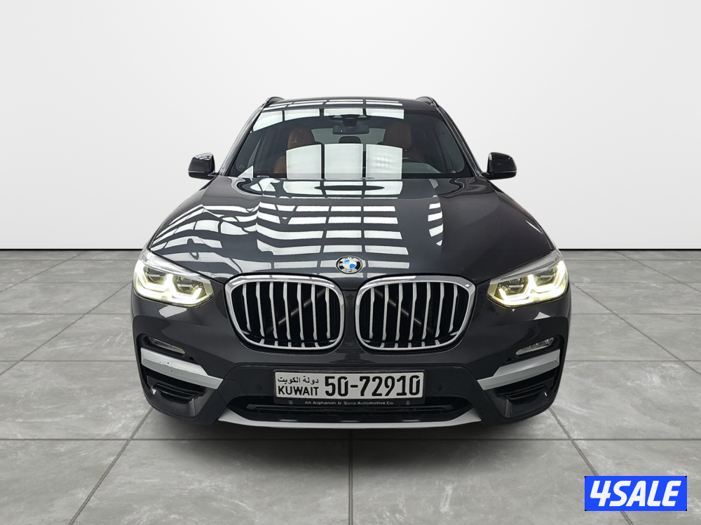BMW X32