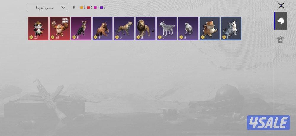 الصامل مراح اقصر معاه الاسم ثنائي وفل نوادر لفل مجموعه ٧٨ بيعه سريعه15