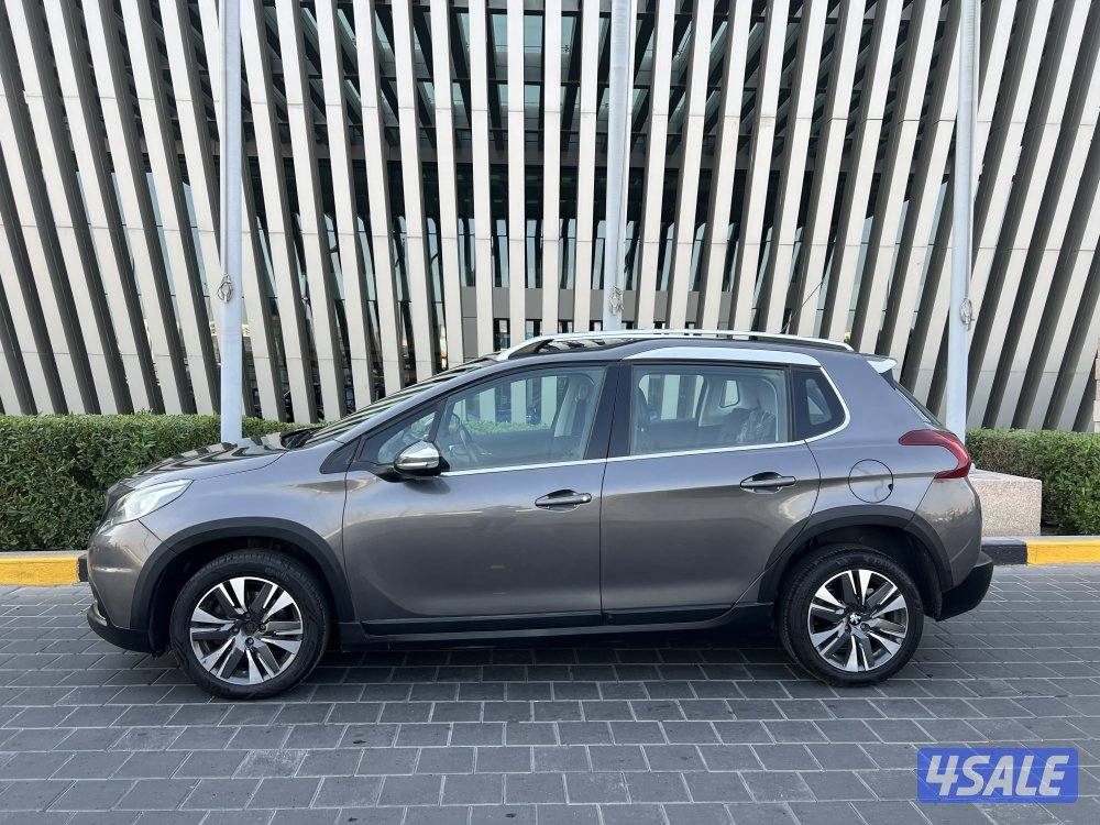 بيجو 2019 بانوراما0