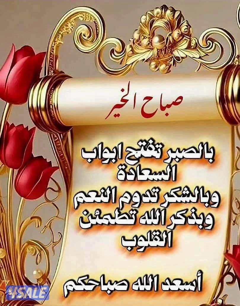 الملخص المهني
خريجة قانون تتمتع بدقة عالية في العمل، مع خبرة تمتد لـ 30