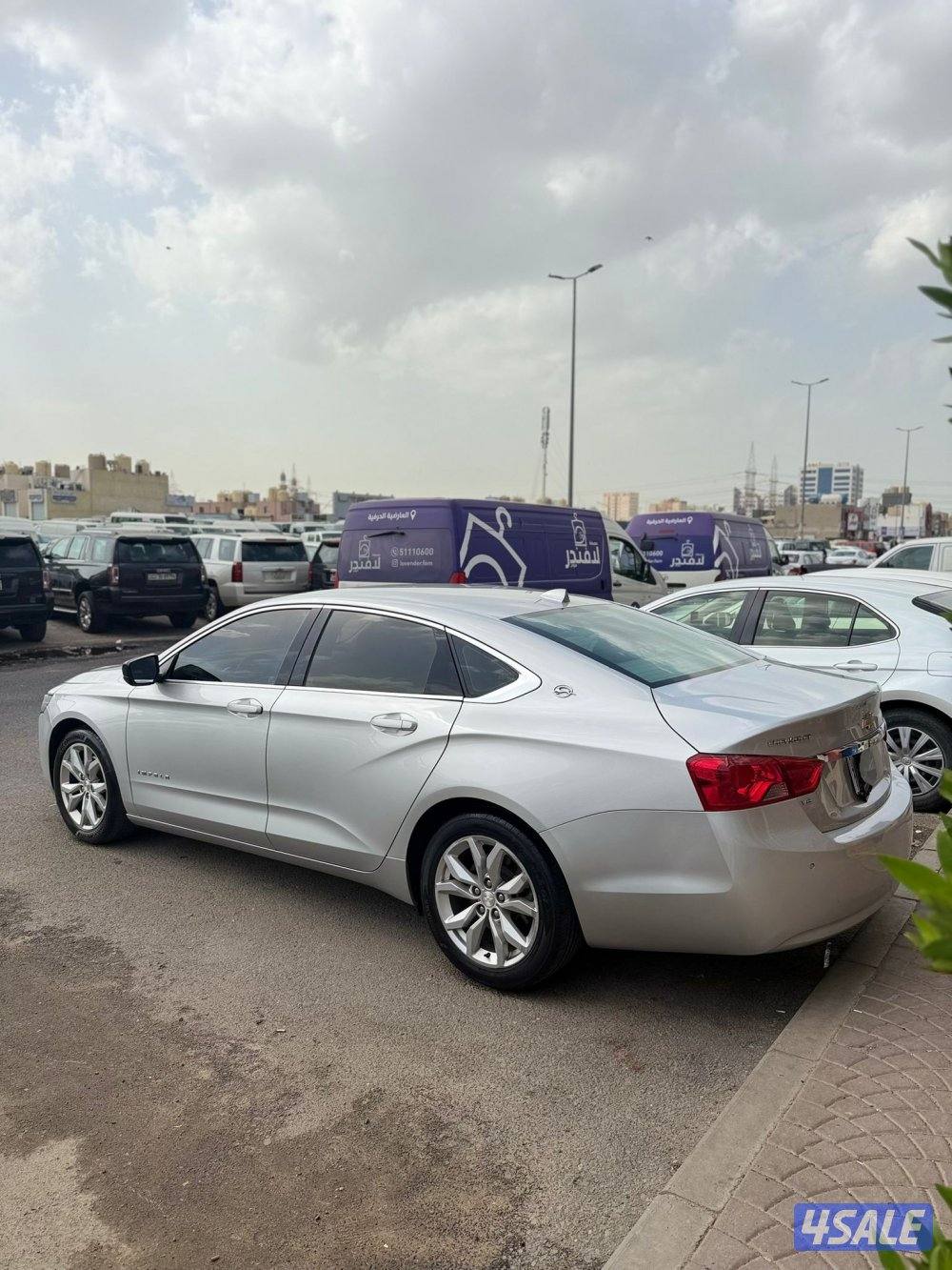 امبالا ٢٠١٧ صبغ الوكاله6