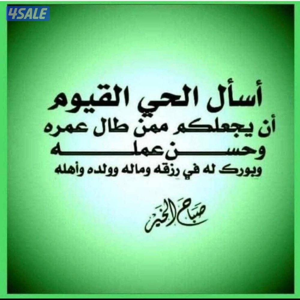 من فئة البدون ابحث عن عمل معقب قضائي كمندوب0