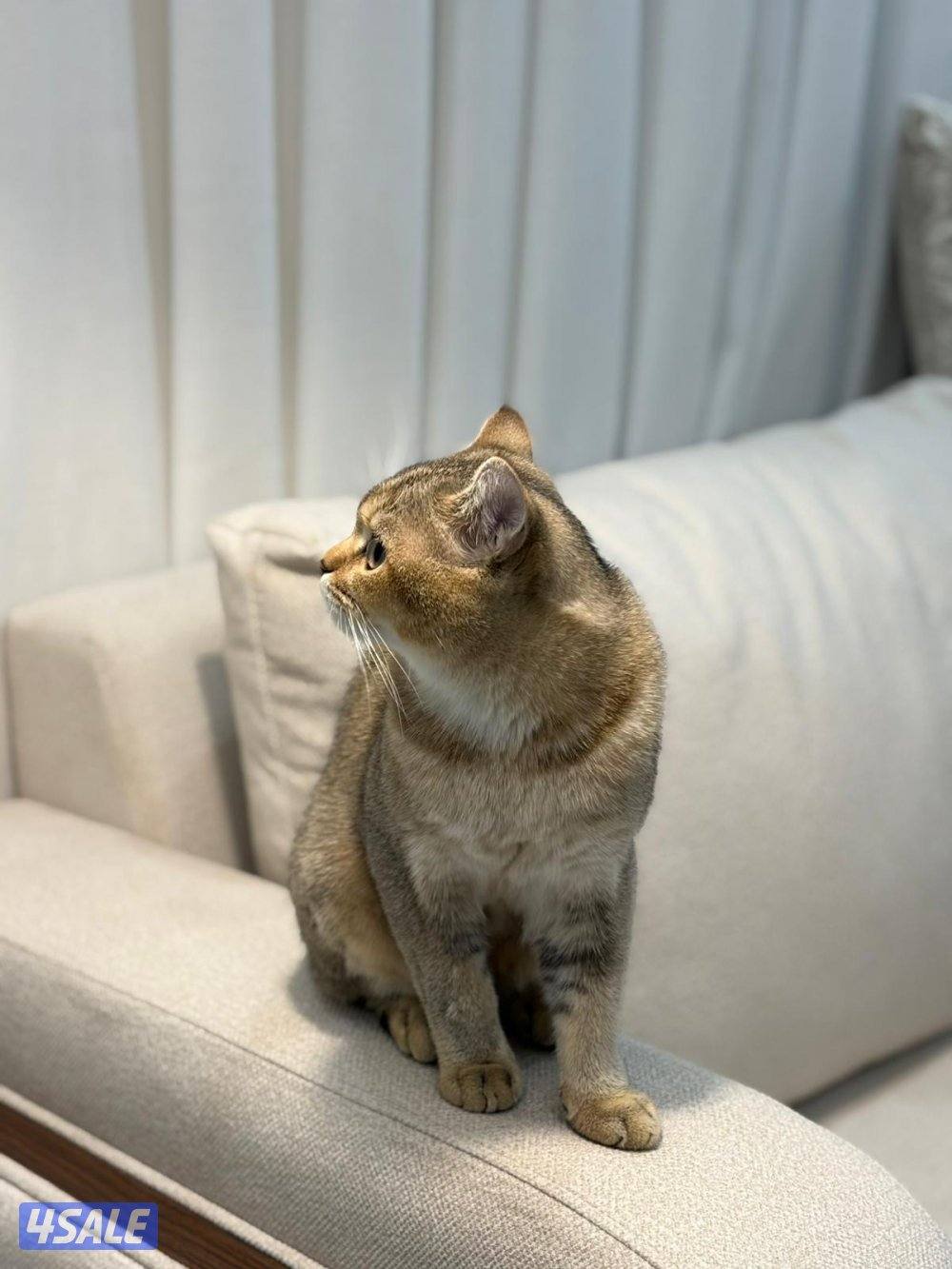 المطلاع n9 قطعة ٢ شارع ٢٠٨ منزل ٣٨٩1