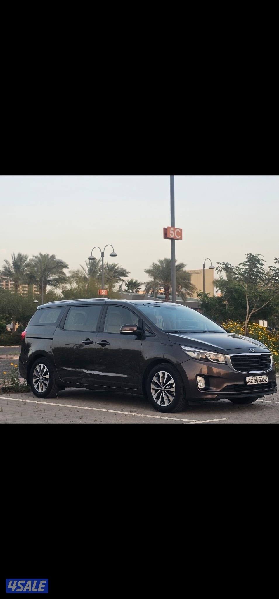 كرنفال صبغ وكالة عدا قطعة شرط الفحص بالكامل1