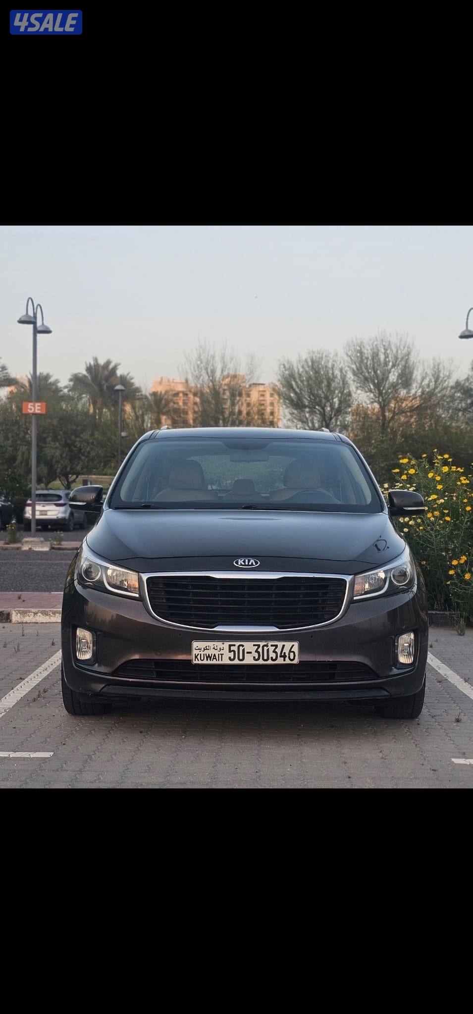 كرنفال صبغ وكالة عدا قطعة شرط الفحص بالكامل2