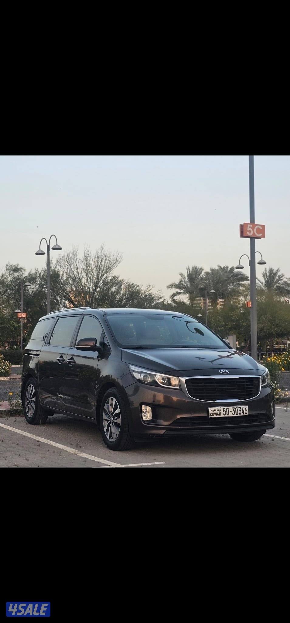 كرنفال صبغ وكالة عدا قطعة شرط الفحص بالكامل0