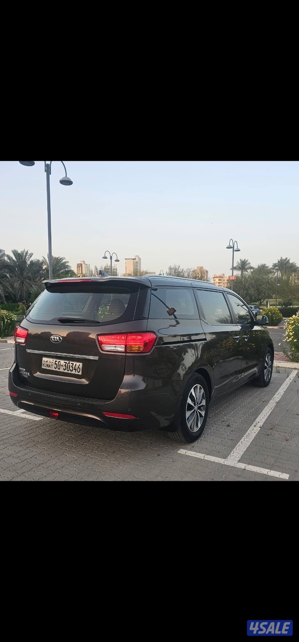 كرنفال صبغ وكالة عدا قطعة شرط الفحص بالكامل4