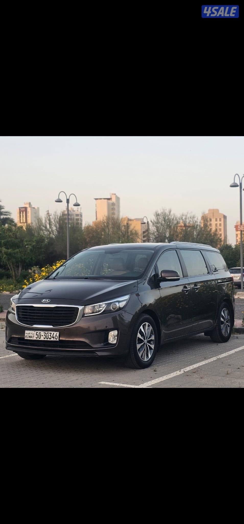 كرنفال صبغ وكالة عدا قطعة شرط الفحص بالكامل3