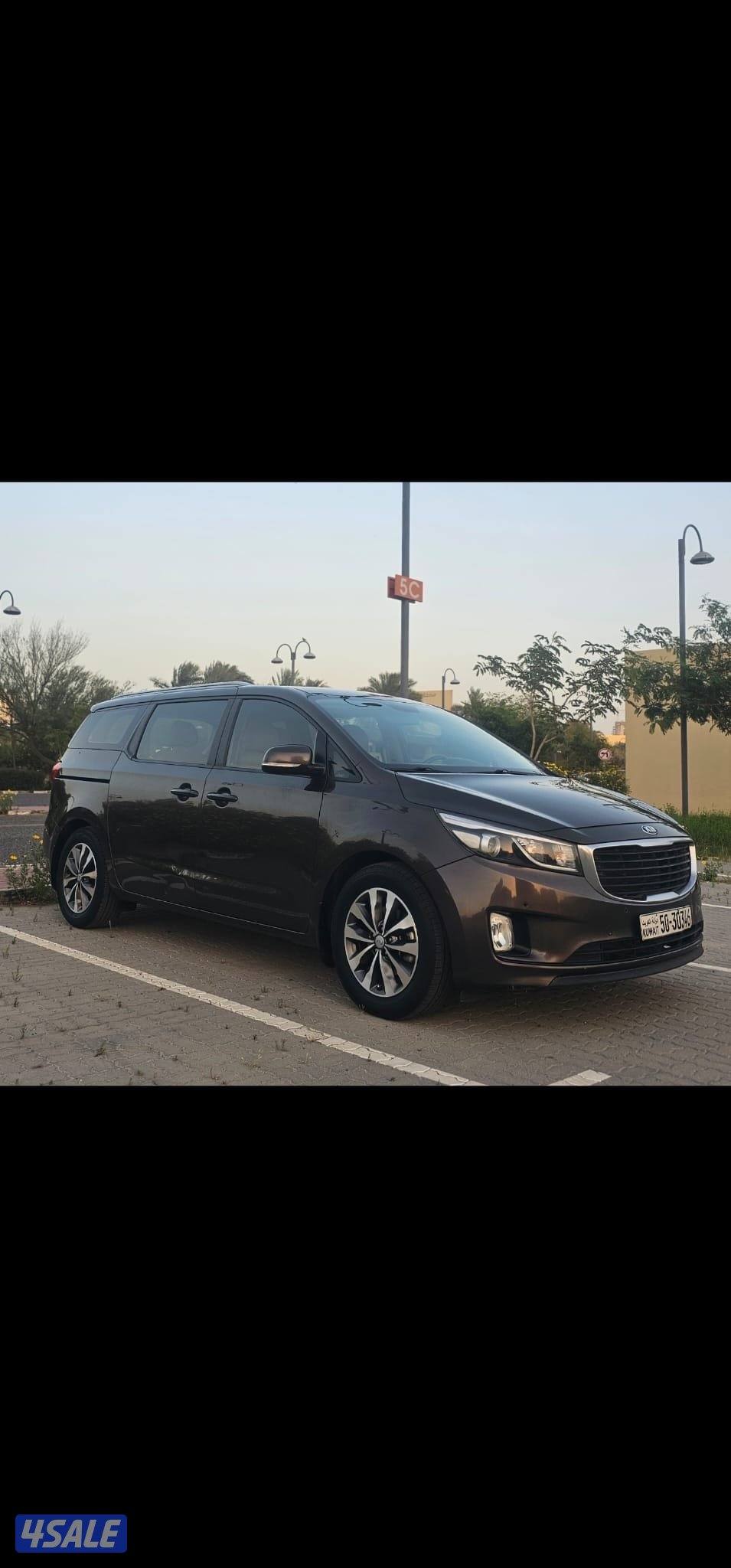 كرنفال صبغ وكالة عدا قطعة شرط الفحص بالكامل6