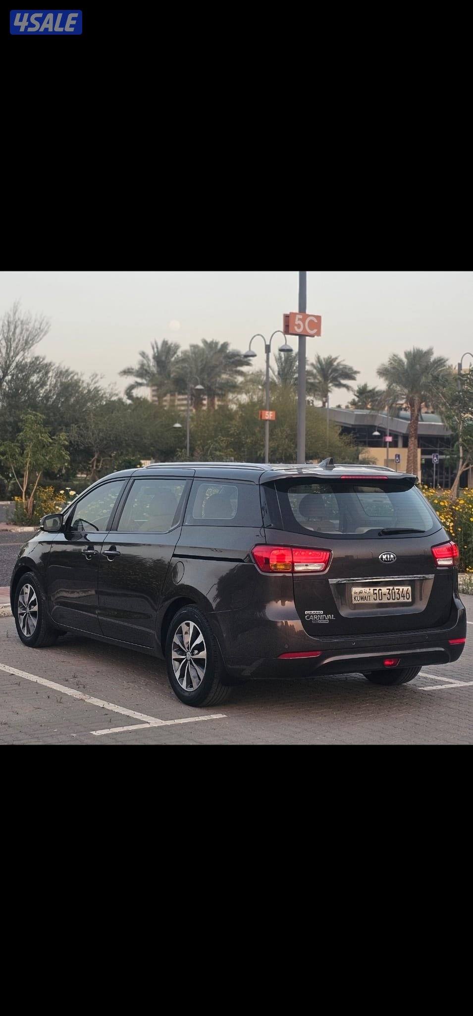 كرنفال صبغ وكالة عدا قطعة شرط الفحص بالكامل7