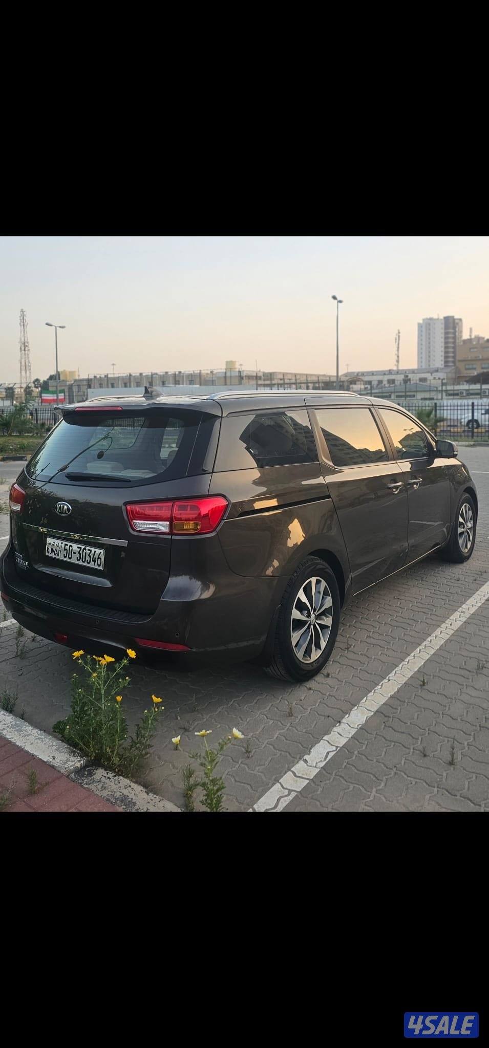 كرنفال صبغ وكالة عدا قطعة شرط الفحص بالكامل8