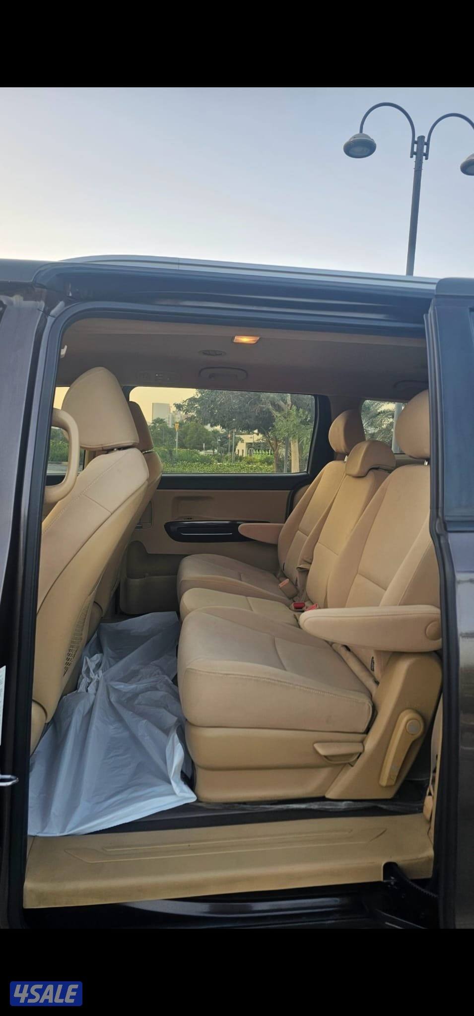 كرنفال صبغ وكالة عدا قطعة شرط الفحص بالكامل9