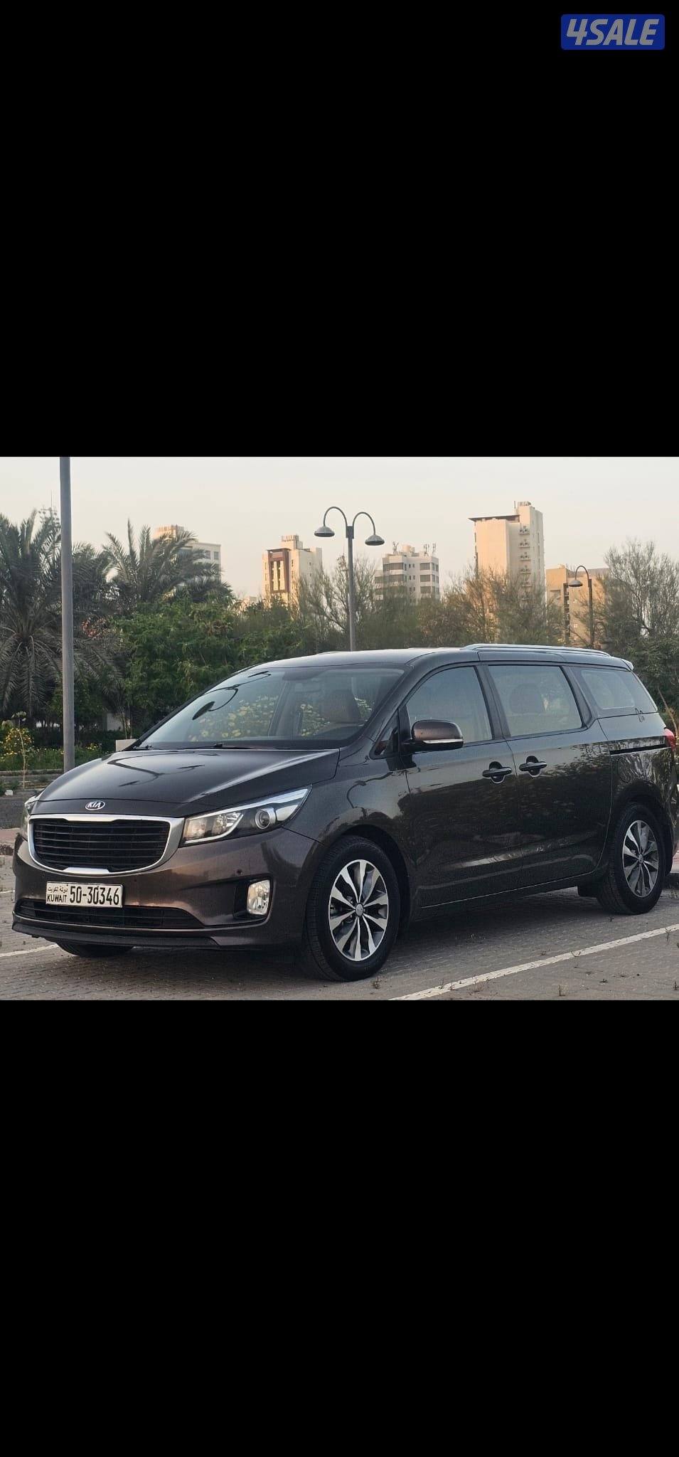 كرنفال صبغ وكالة عدا قطعة شرط الفحص بالكامل10