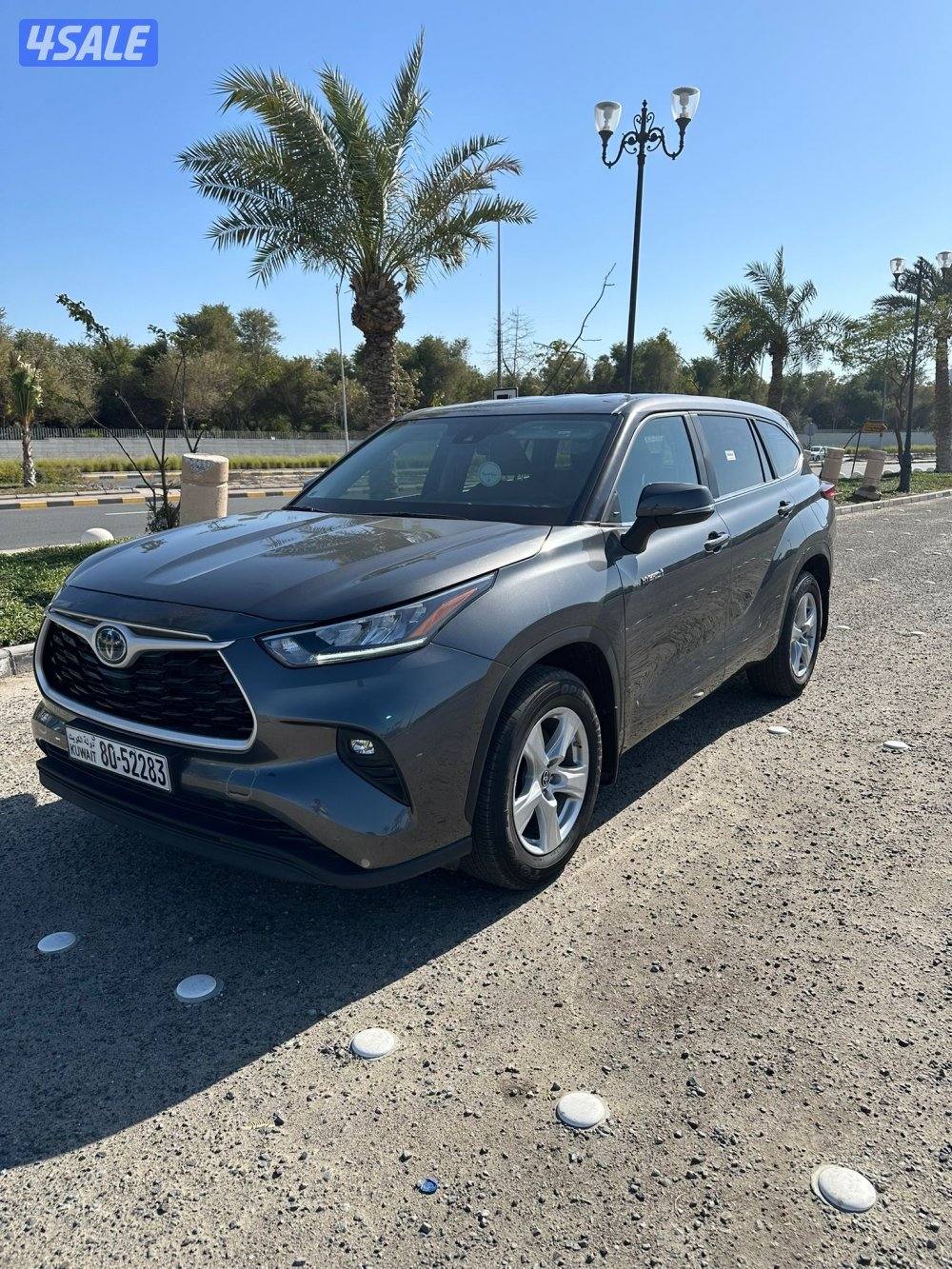 هايلاندر هايبرد0